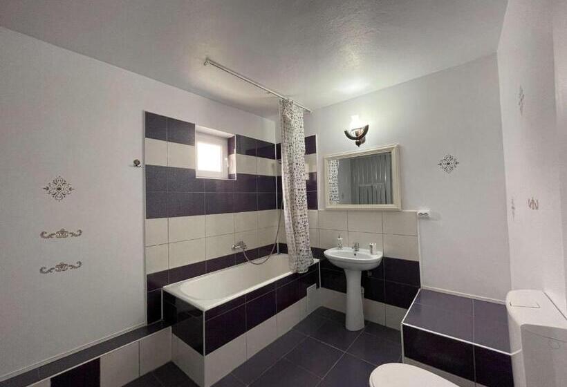 Pensiunea Vila Silva Ii