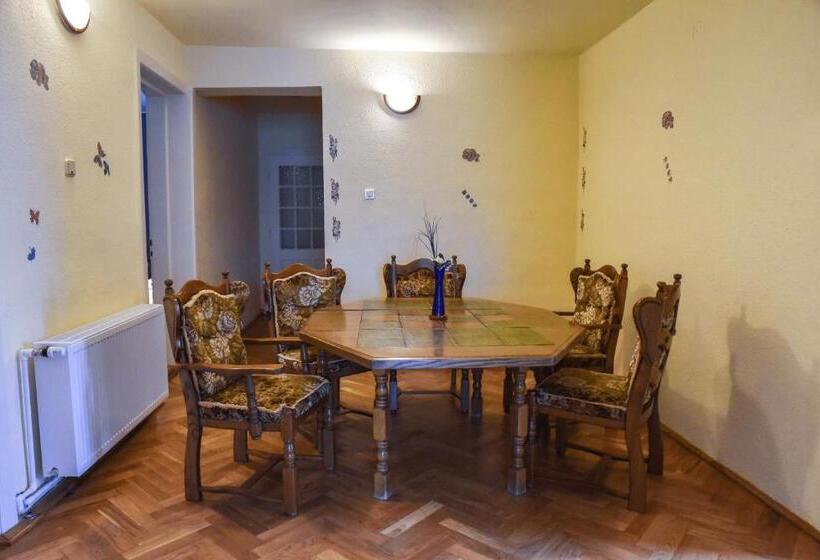 Pensiunea Vila Silva Ii