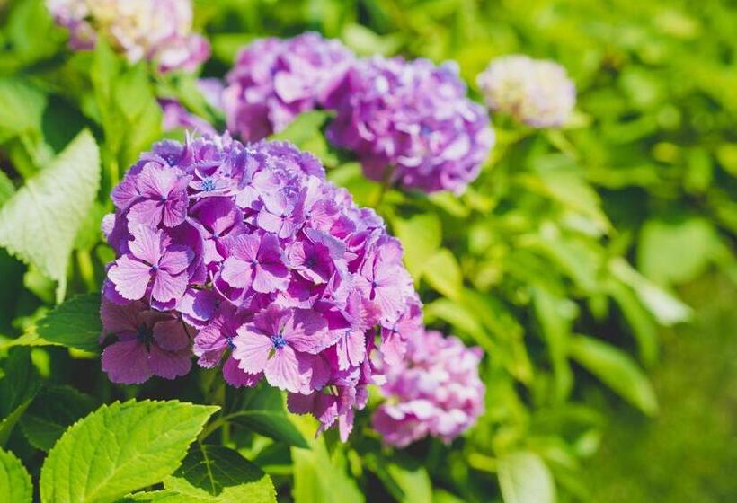 Ryokan Grand Blissen Hotel Jozankei