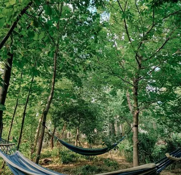 پانسیون White Valley Entire Guest House Next To Forest