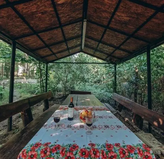 پانسیون White Valley Entire Guest House Next To Forest
