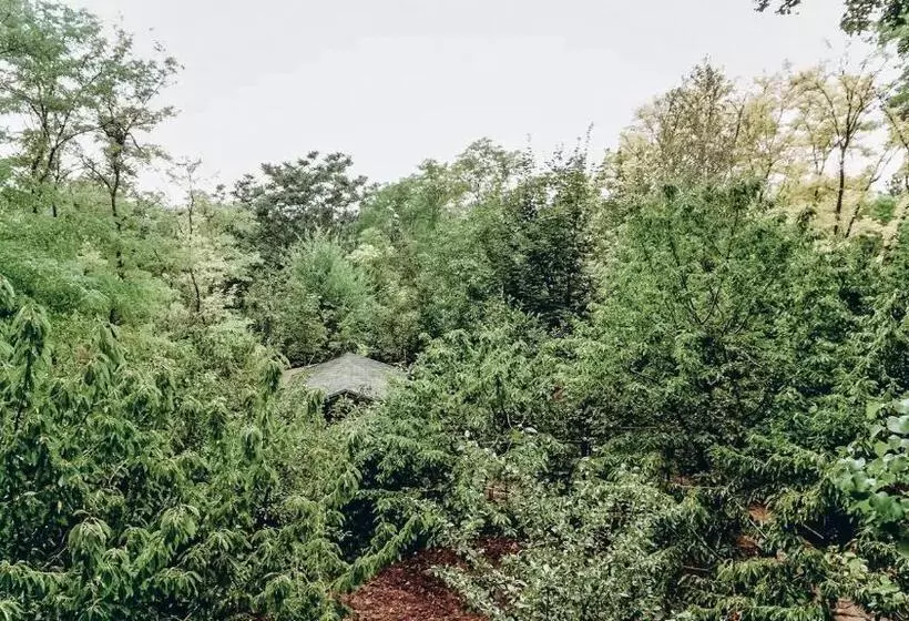 پانسیون White Valley Entire Guest House Next To Forest