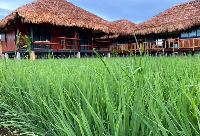 酒店 Lanna Homestay