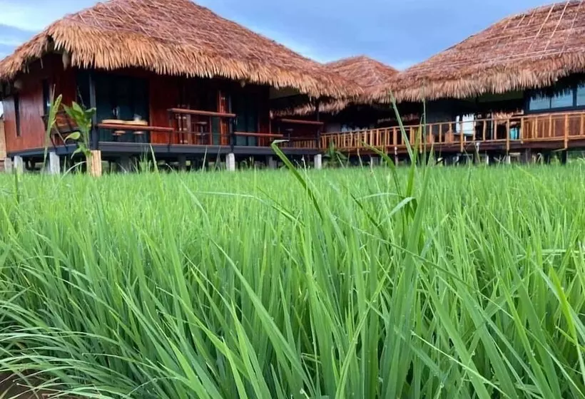 ホテル Lanna Homestay