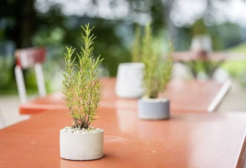 Vegan Health Hotel Sonnenberg