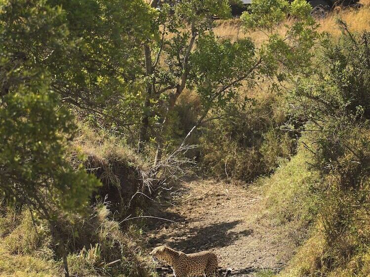 هتل Naserian Mara Camp