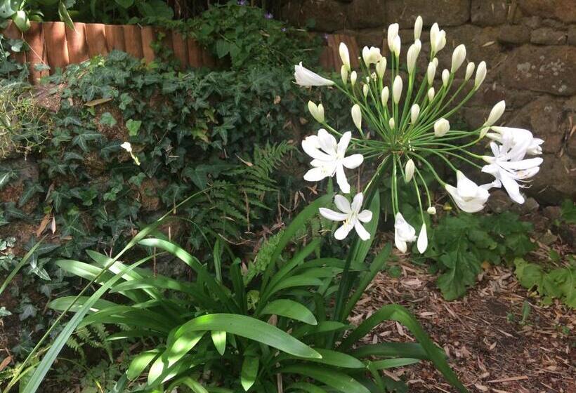 Отель Logis De La Filanderie