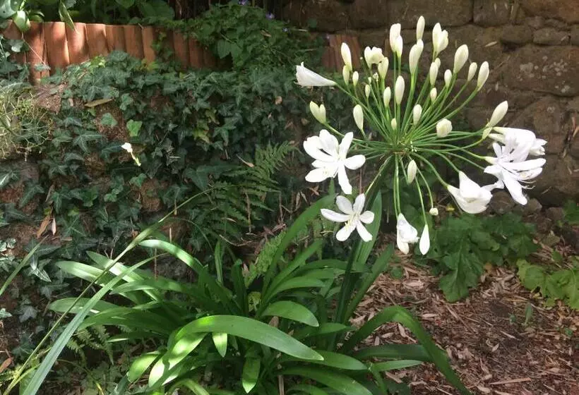 Hotelli Logis De La Filanderie