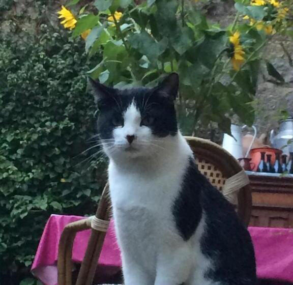 Отель Logis De La Filanderie