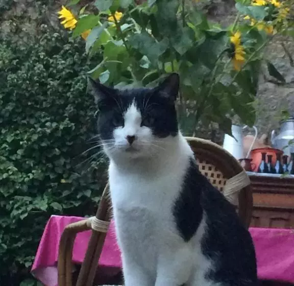 Hotelli Logis De La Filanderie