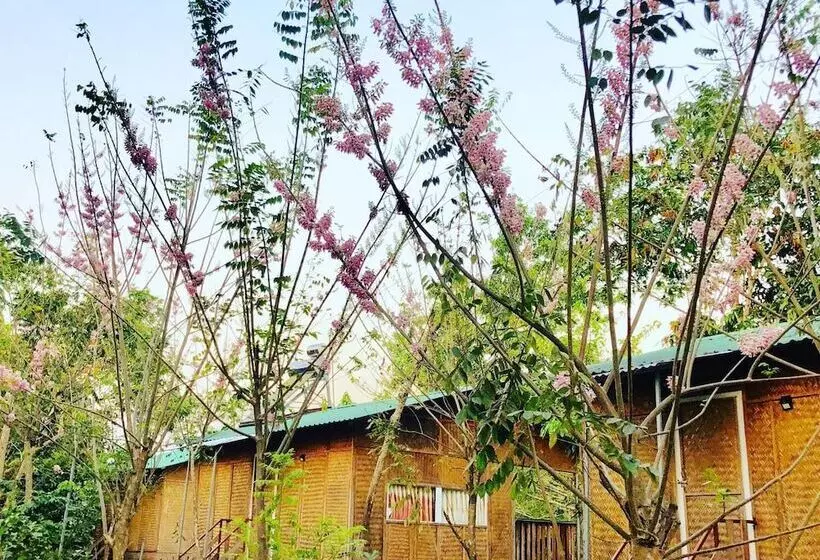 هتل Spirit Garden Guesthouse