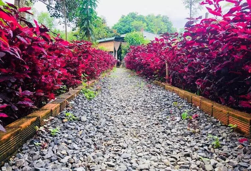 هتل Spirit Garden Guesthouse