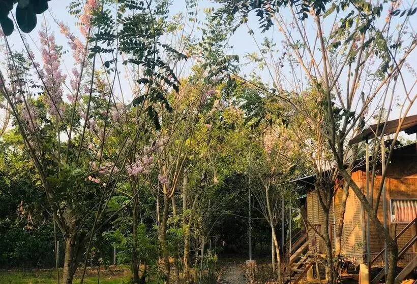 هتل Spirit Garden Guesthouse