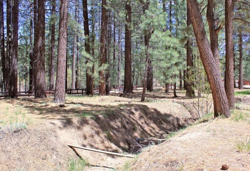 호텔 Goldmine Lodge