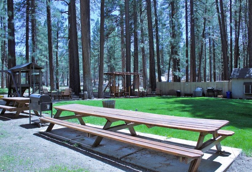 호텔 Goldmine Lodge