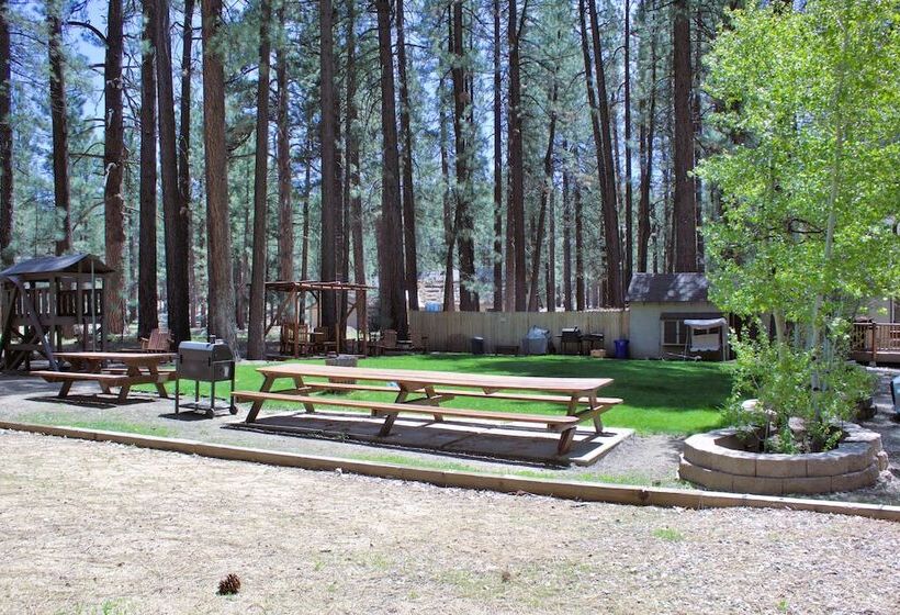 호텔 Goldmine Lodge