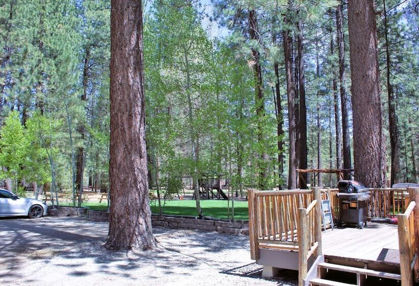 호텔 Goldmine Lodge