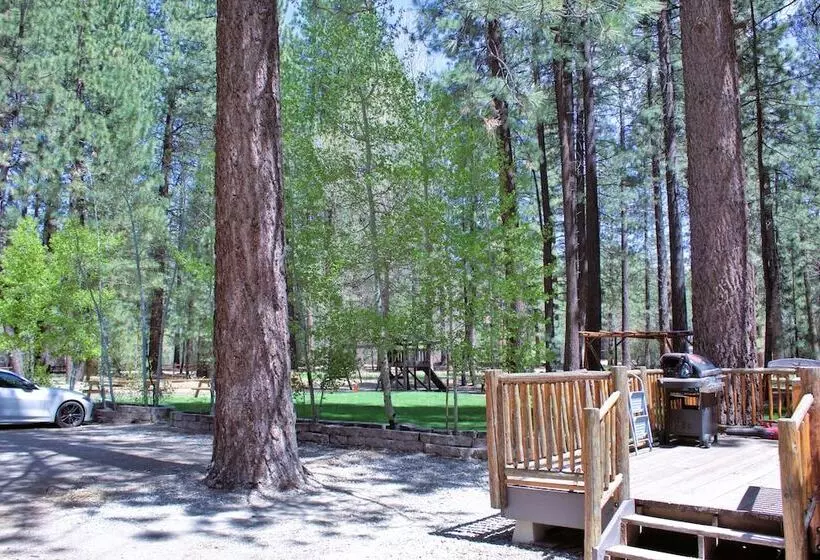 Hotelli Goldmine Lodge