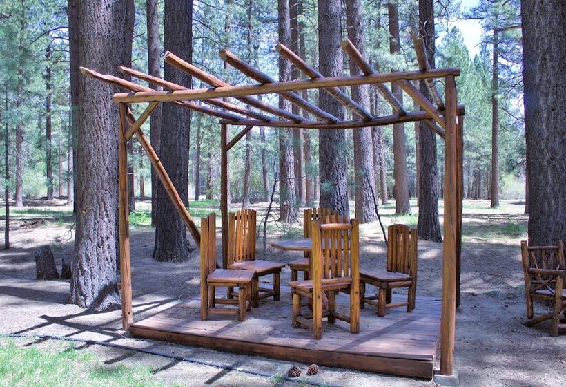 호텔 Goldmine Lodge