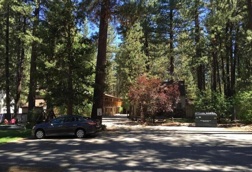 호텔 Goldmine Lodge