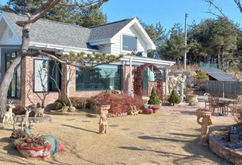 酒店 Goseong Heim Bella Pension