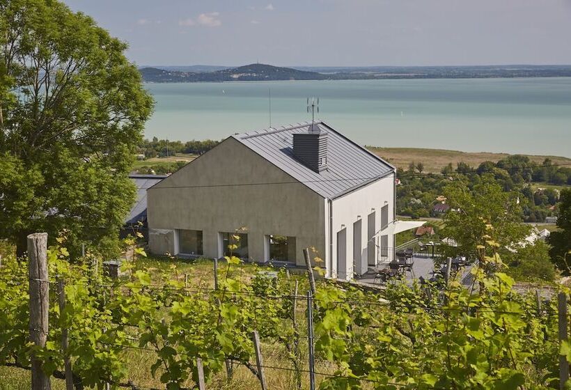 호텔 Villa Patzay Bor