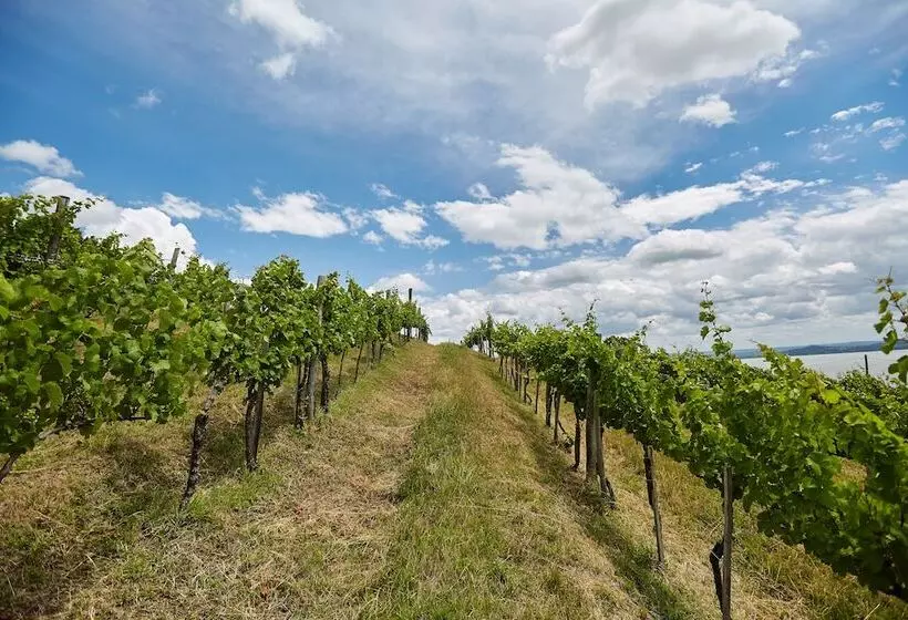 ホテル Villa Patzay Bor