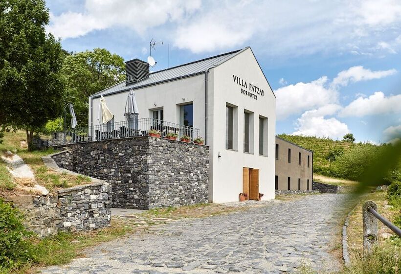 호텔 Villa Patzay Bor