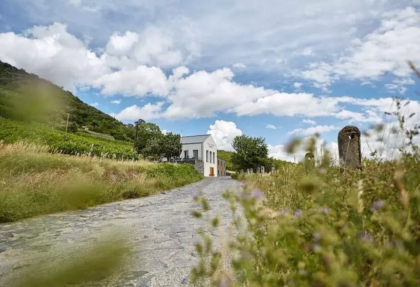 ホテル Villa Patzay Bor