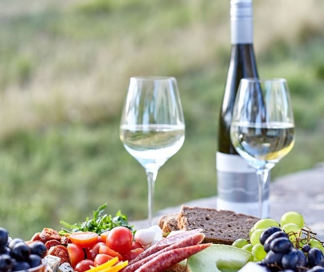 호텔 Villa Patzay Bor