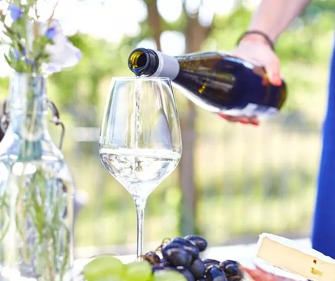 ホテル Villa Patzay Bor