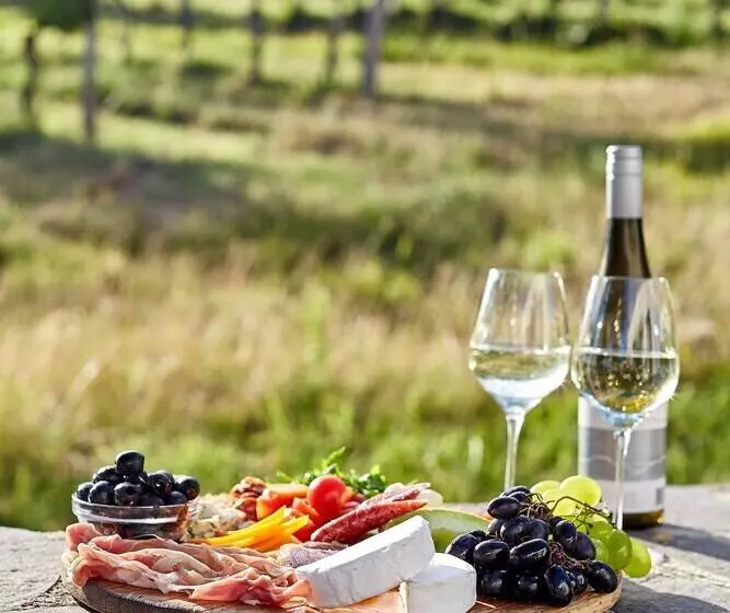 ホテル Villa Patzay Bor