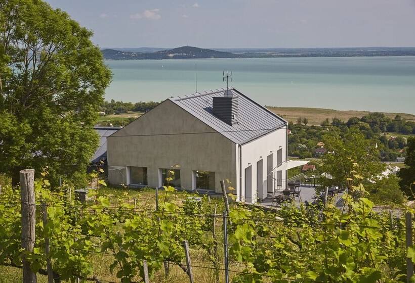 호텔 Villa Patzay Bor