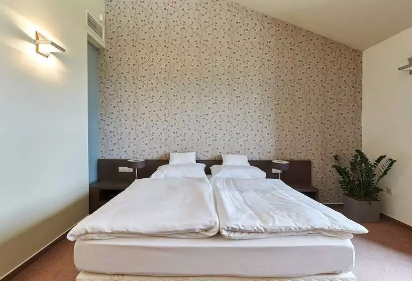 ホテル Villa Patzay Bor