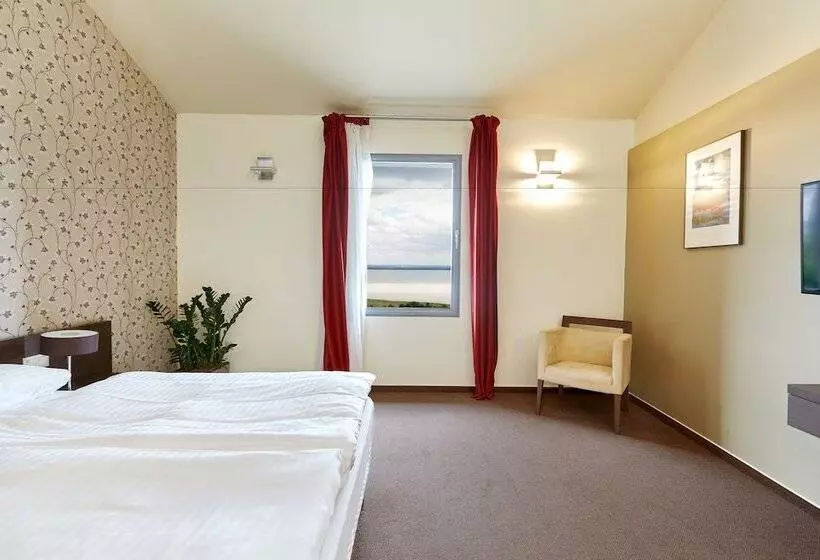 ホテル Villa Patzay Bor