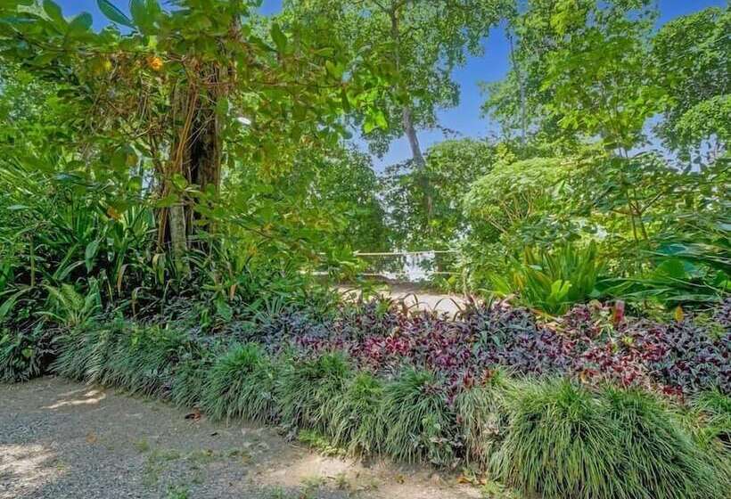 Отель Casa Vito