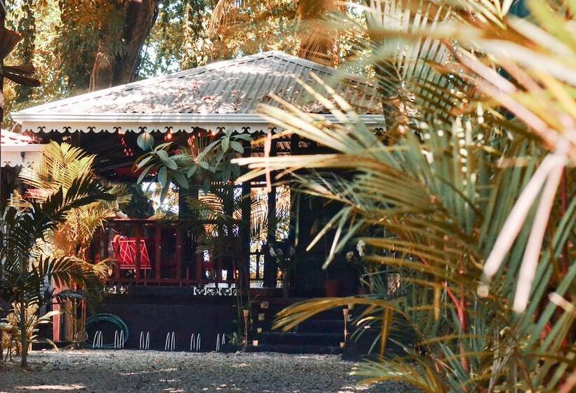 Отель Casa Vito