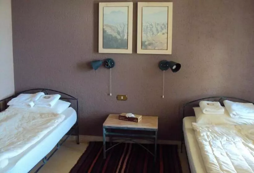 هتل Dana Guesthouse