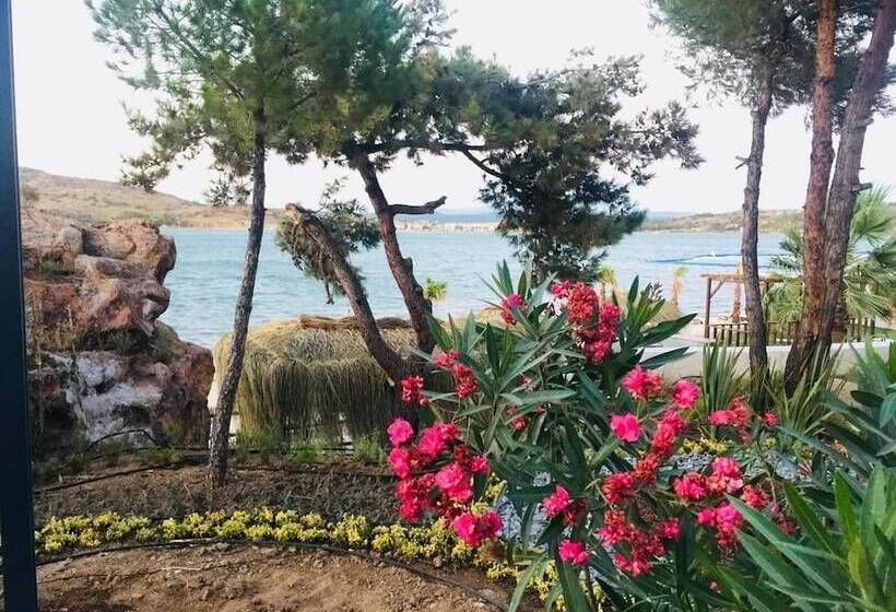 هتل Ivy Sailing Resort