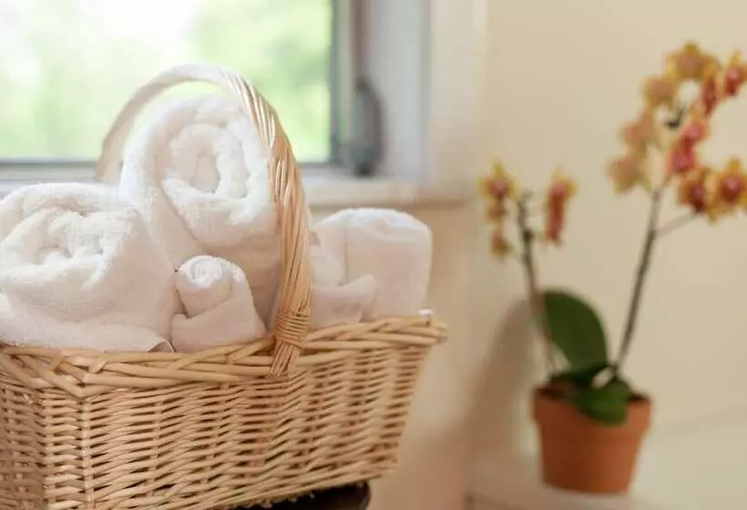 Bed and Breakfast 1906 Pine Crest Inn