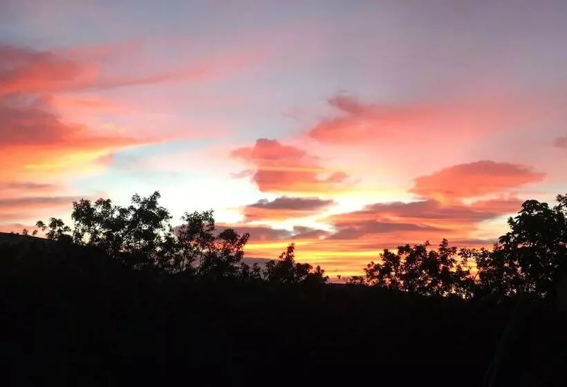 住宿加早餐  Hawaii Island Resort