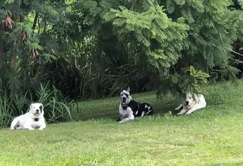 住宿加早餐  Hawaii Island Resort