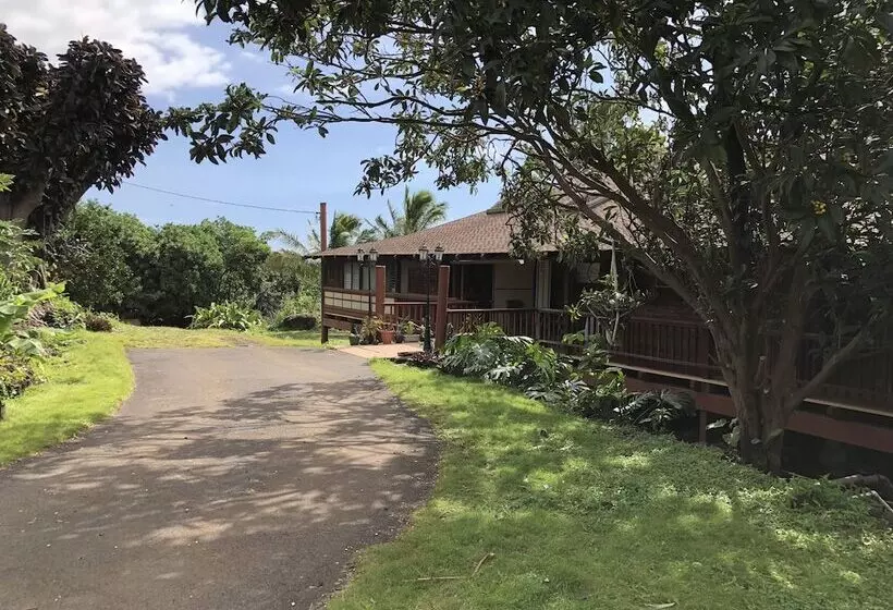 住宿加早餐  Hawaii Island Resort