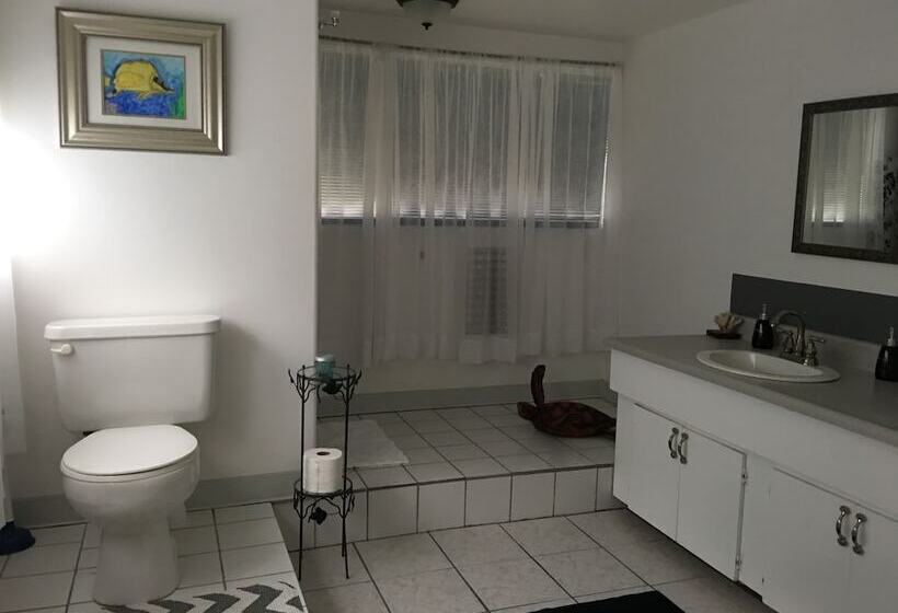 住宿加早餐 Hawaii Island Resort