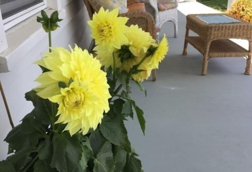 مبيت وإفطار The Hayden Creek Inn