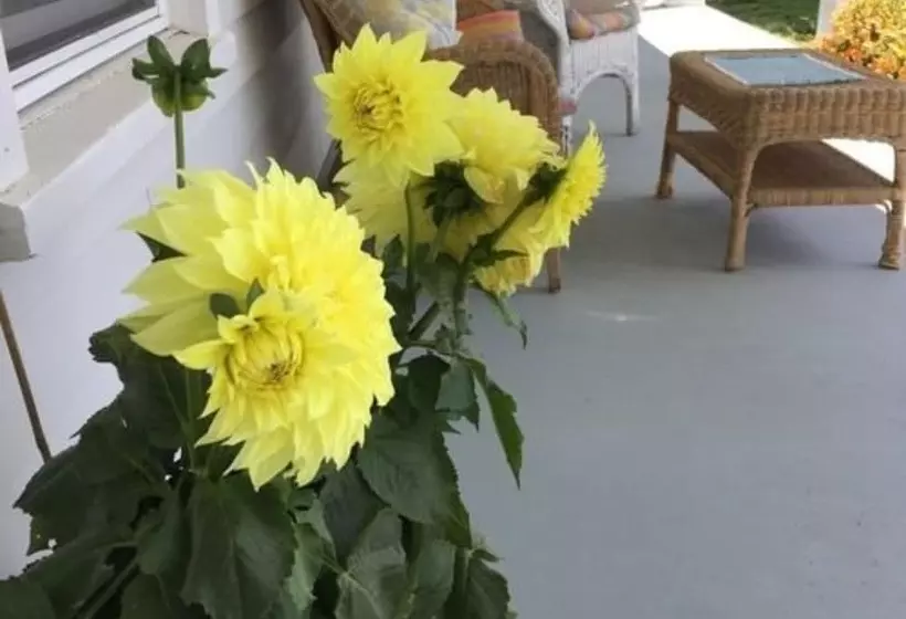 Bed and Breakfast The Hayden Creek Inn