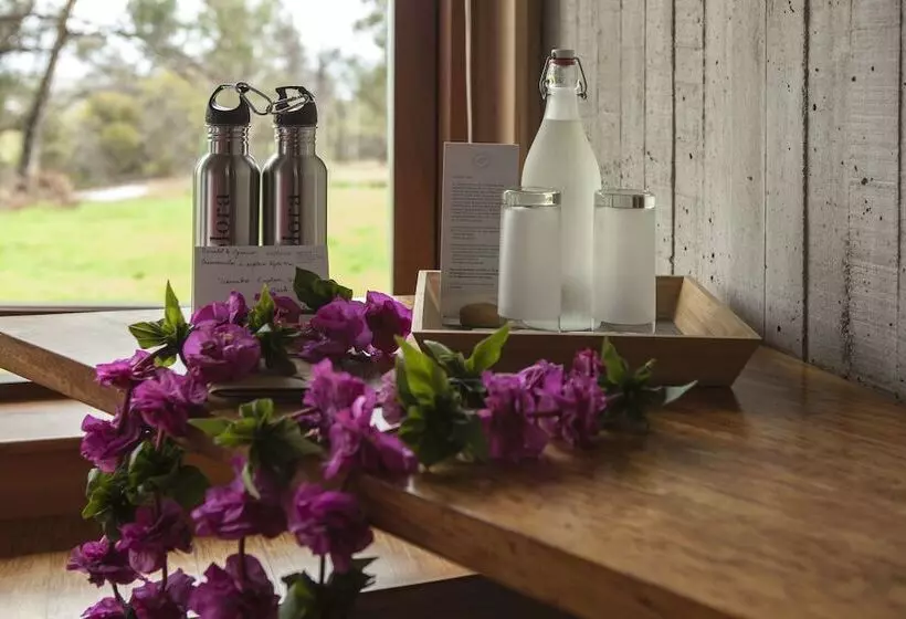 בית מלון כפרי Explora En Rapa Nui All Inclusive