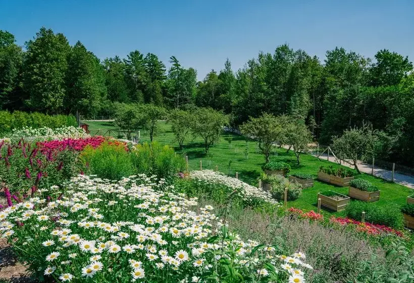 호텔 The Inn at Stonecliffe