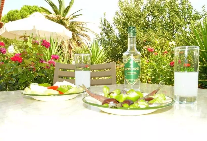 هتل Vicky Studios