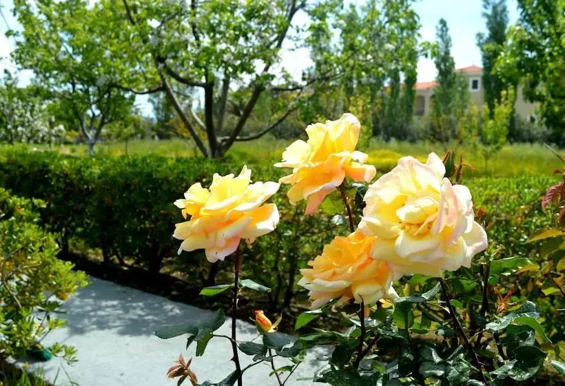 هتل Vicky Studios